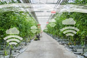 Smart Greenhouse